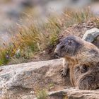 Cool und entspannt...