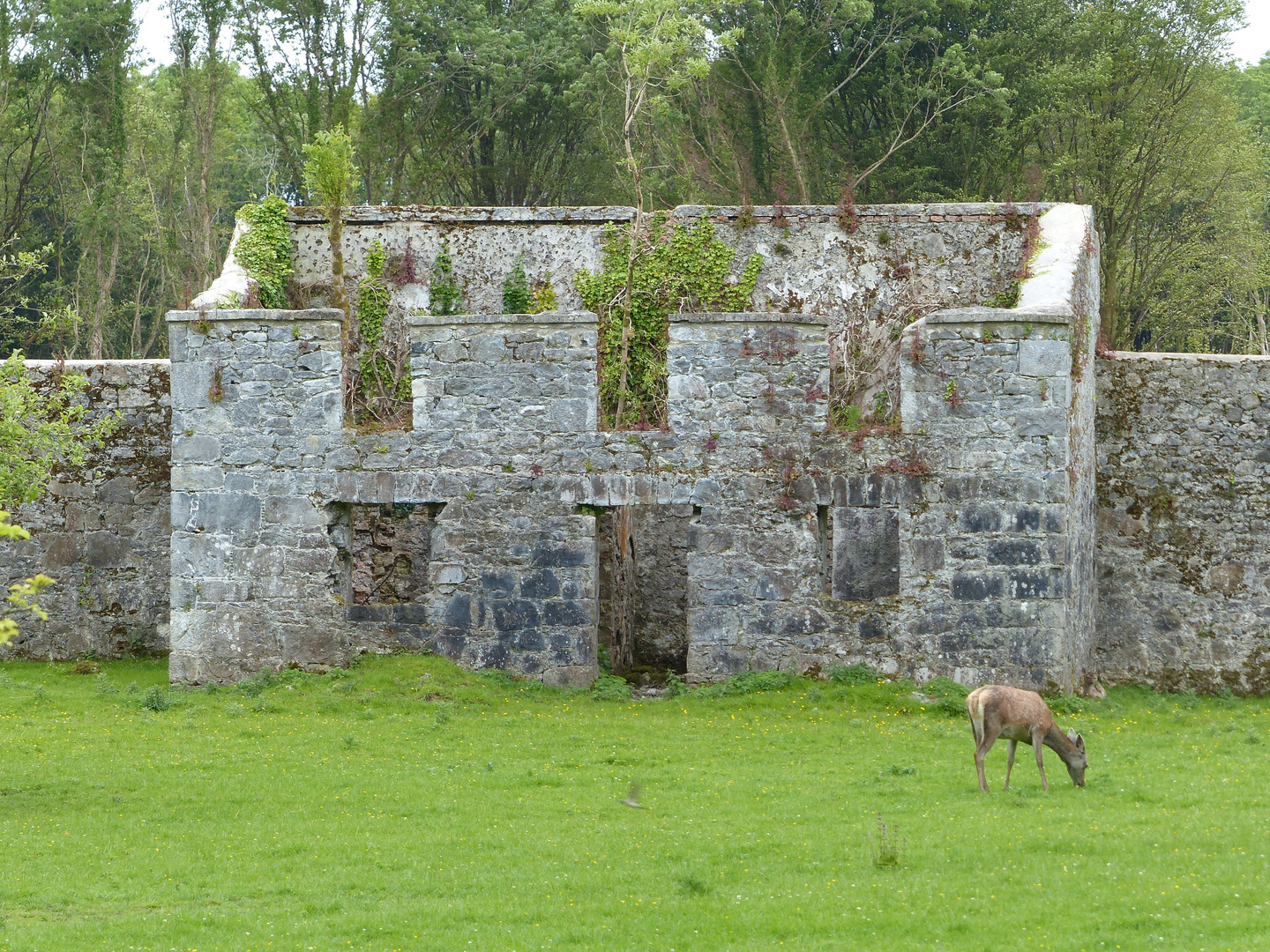 Coole Park