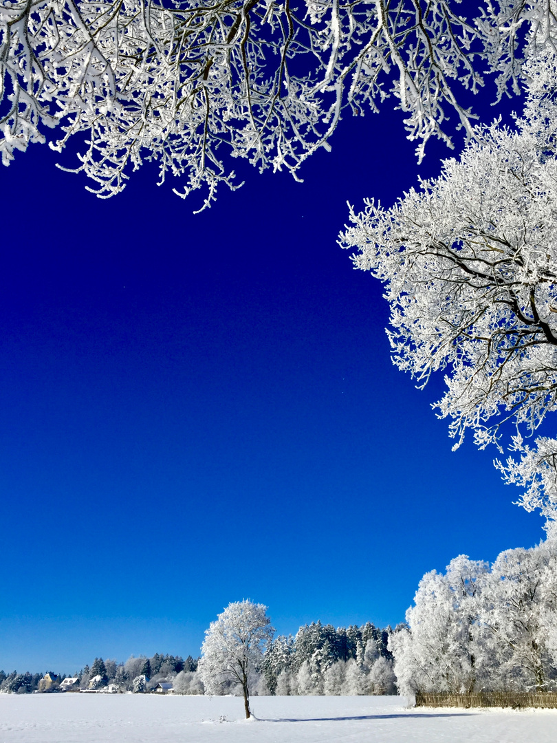 Cooler Anblick in blau weiß