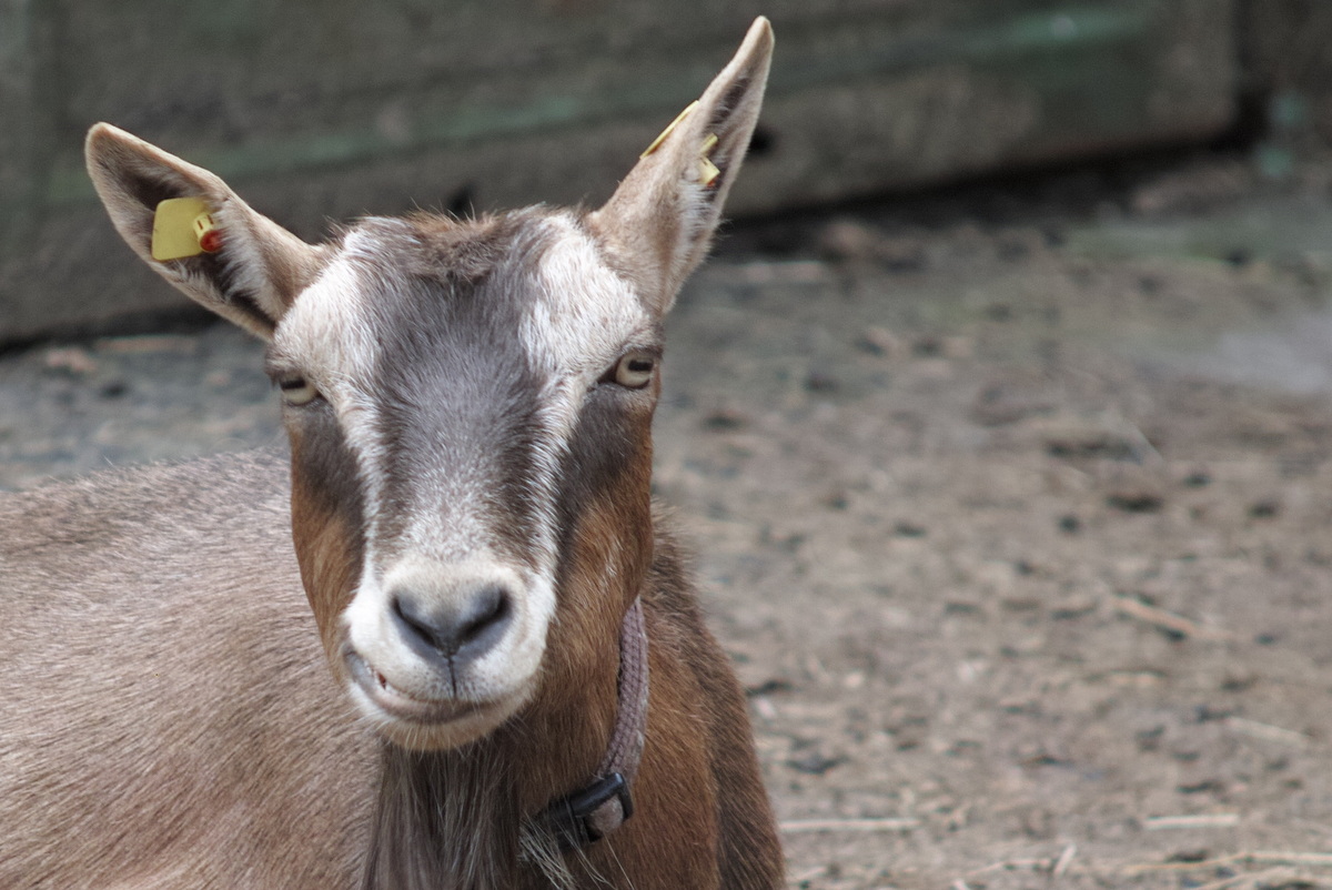 cooler Blick