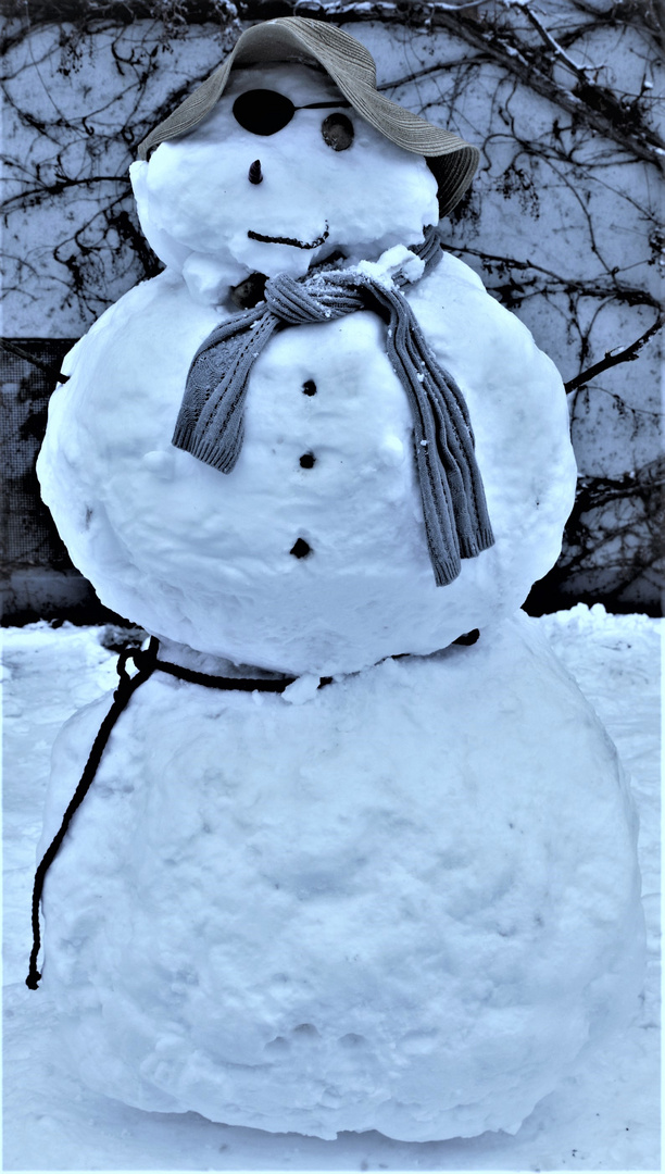 Cooler Johnny - Schneemann im Dezember 2010