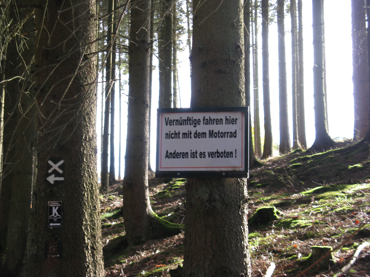 Cooler Spruch Foto & Bild quatsch, fun und rätselecke, witzige