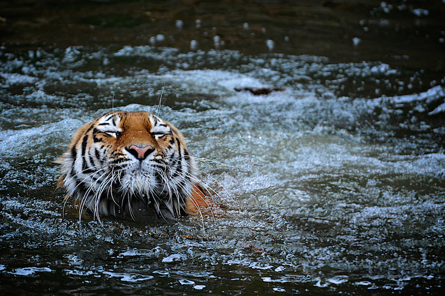 Cooling down..