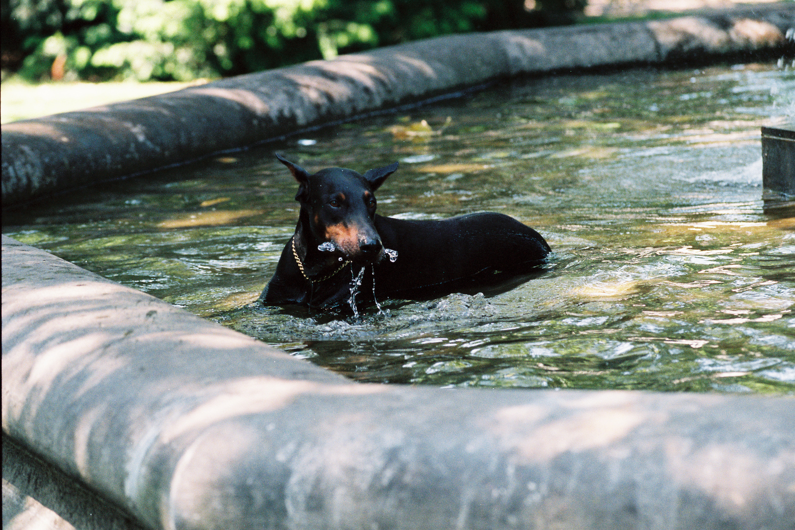 cooling down - analog