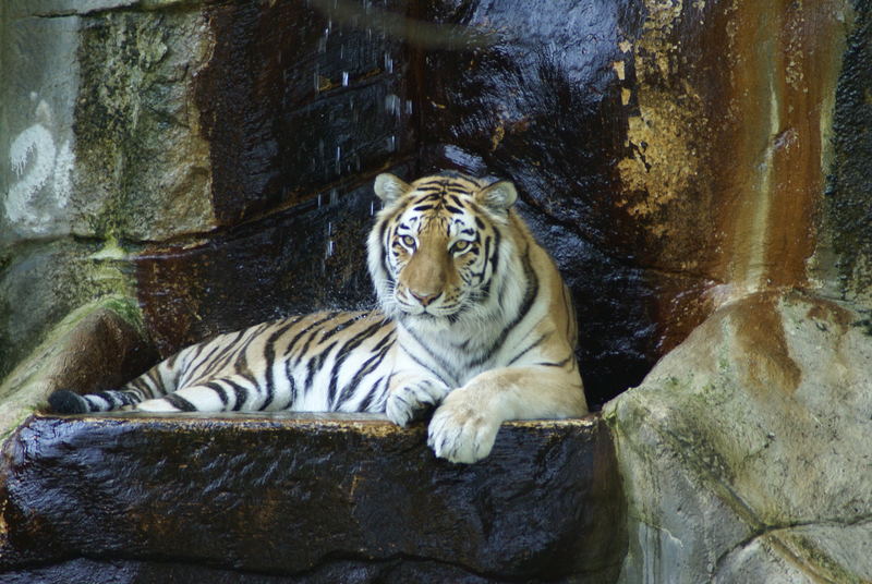 Cooling off