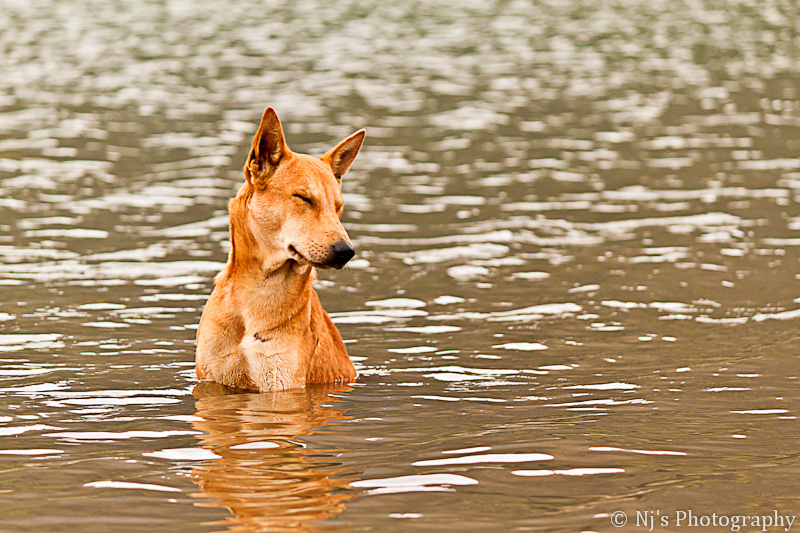 Cooling off !