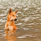 Cooling off !