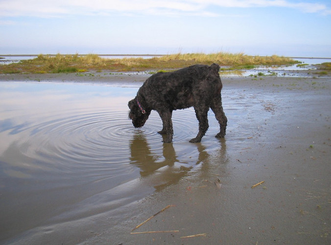 Cooling off