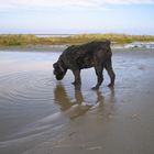 Cooling off