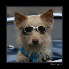 coolste Rennfahrer aus Gütersloh