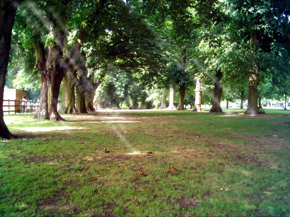 Coombe Abbey Park