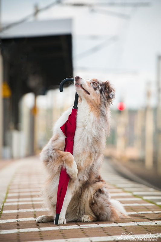 Cooper and his umbrella