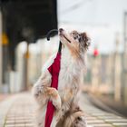 Cooper and his umbrella