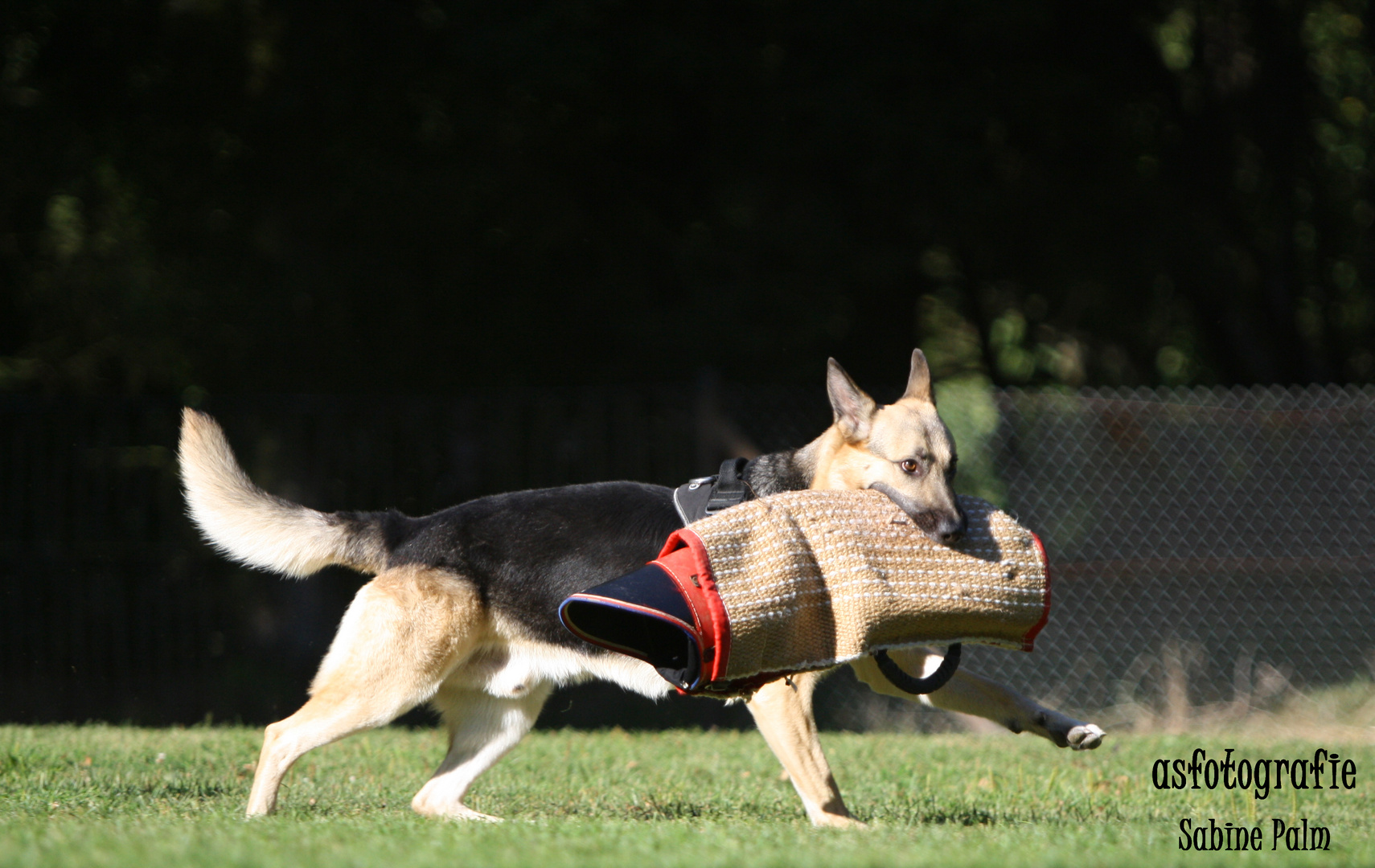 Cooper hat gewonnen