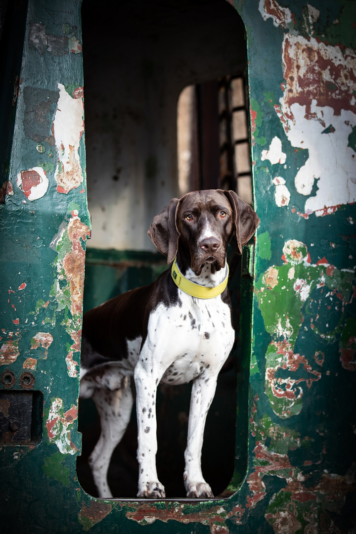 Cooper im Stahlwerk. Die Lock...