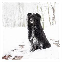 Cooper Winter 2021