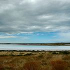 Coorong