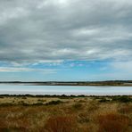 Coorong