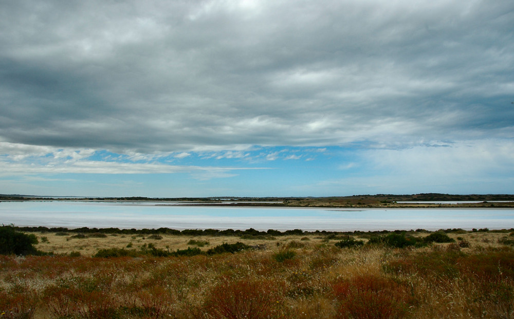 Coorong