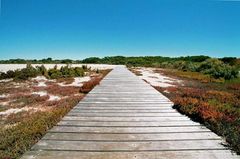 Coorong NP