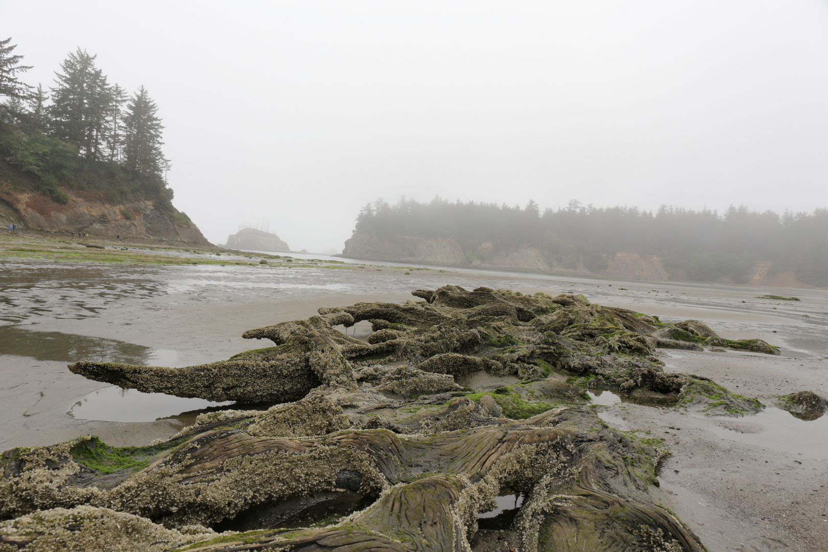 Coos Bay, Oregon