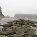 Coos Bay, Oregon