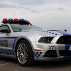 Cop Mustang