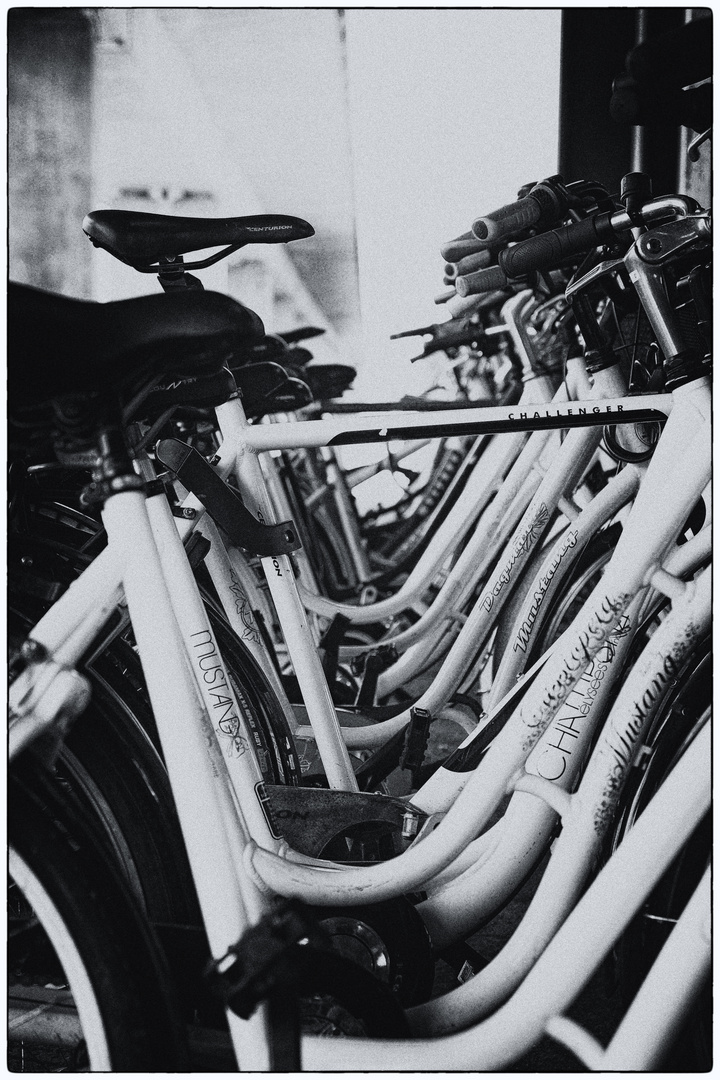 Copenhagen Bicycles