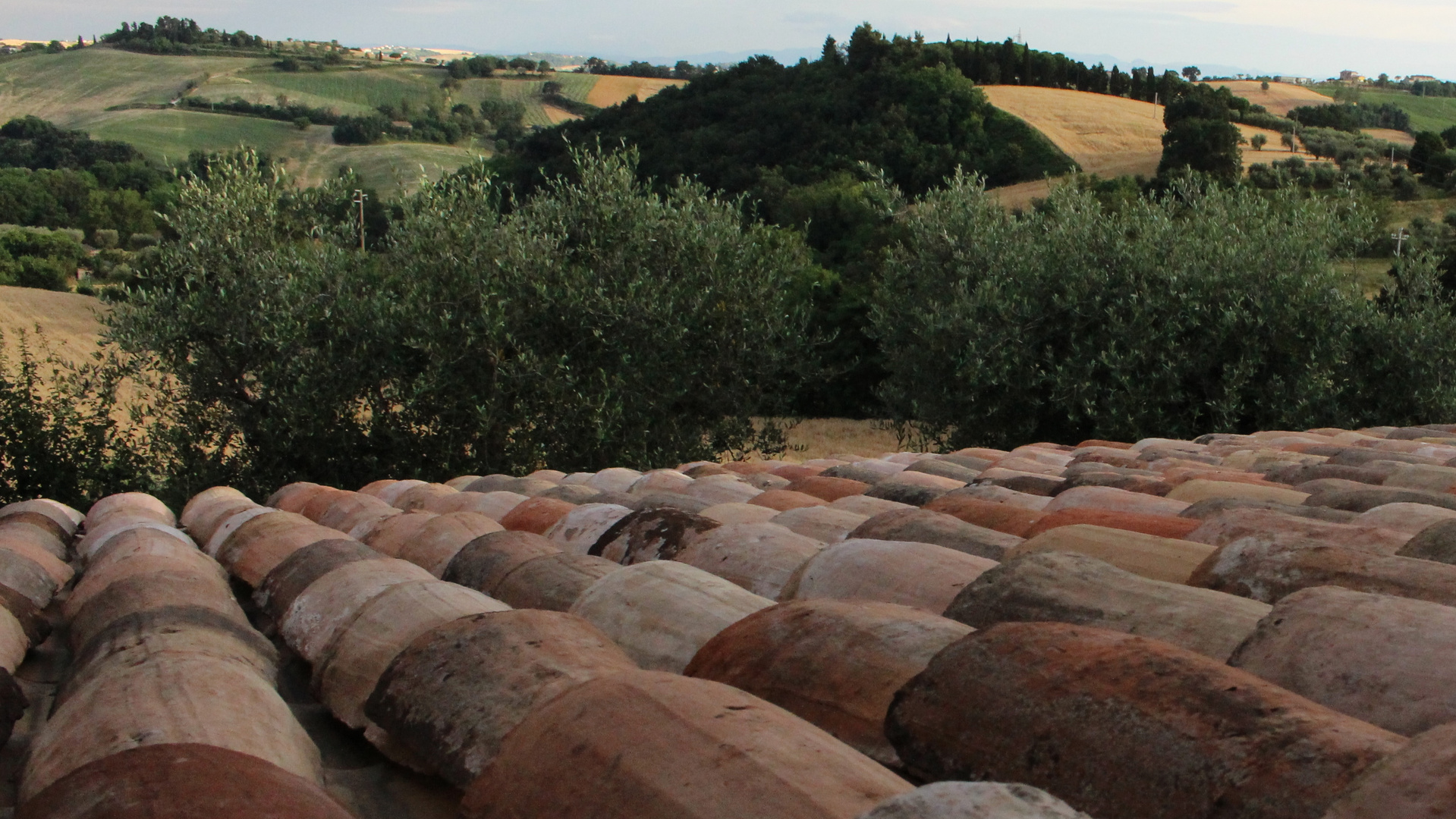 Coppi e colline Marchigiane