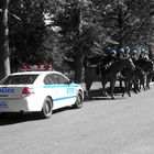 Cops im Flushing Meadows Corona Park