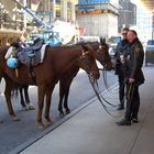 Cops on Times Square