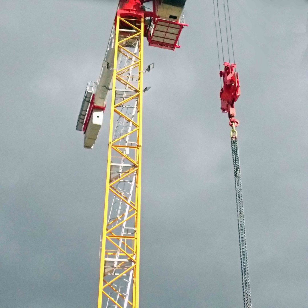 coqueci...grue dans le soleil