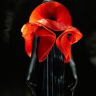 coquelicot de Pierre Cardin