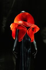 coquelicot de Pierre Cardin