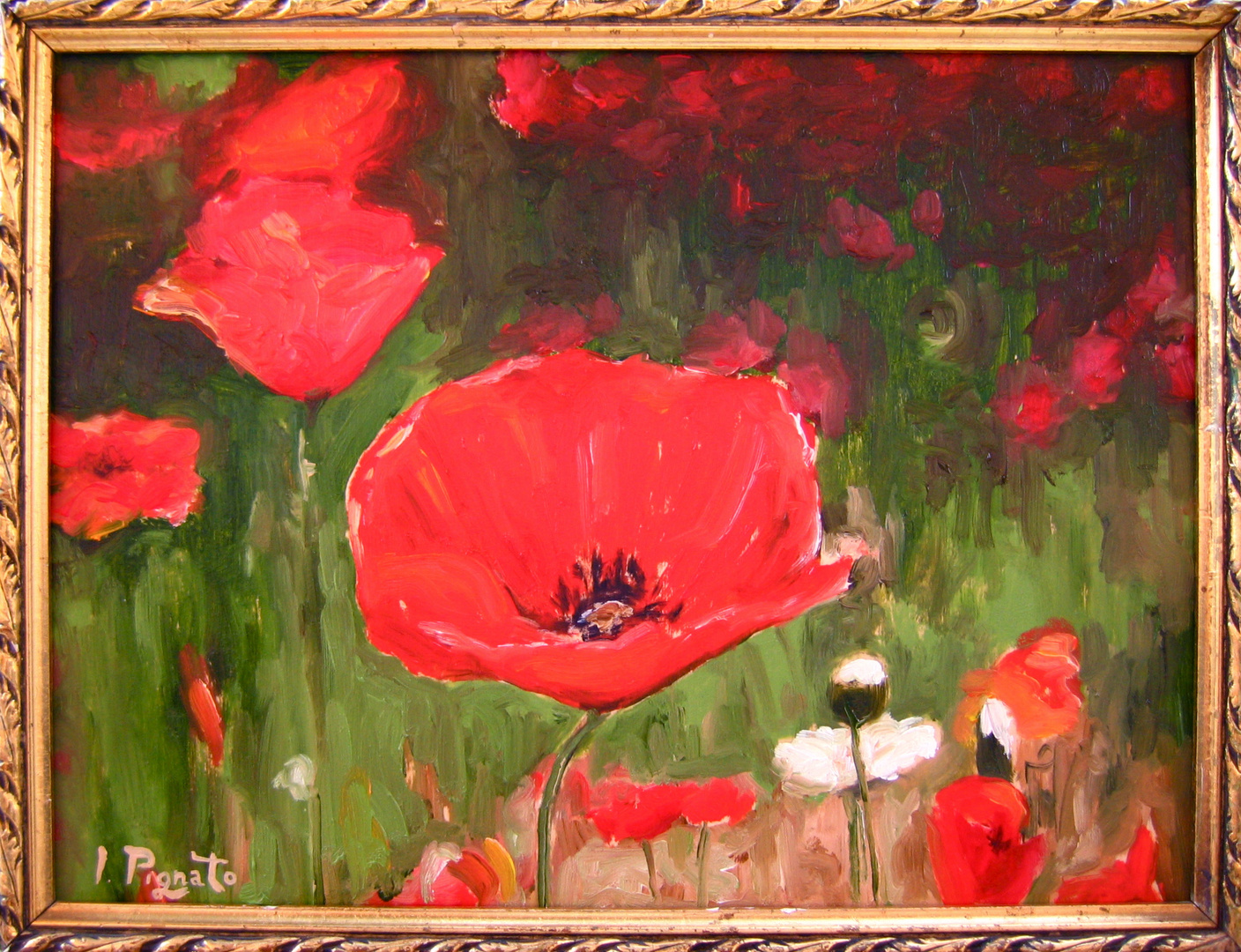 "Coquelicots"