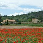 Coqueliots et Vignoble ....