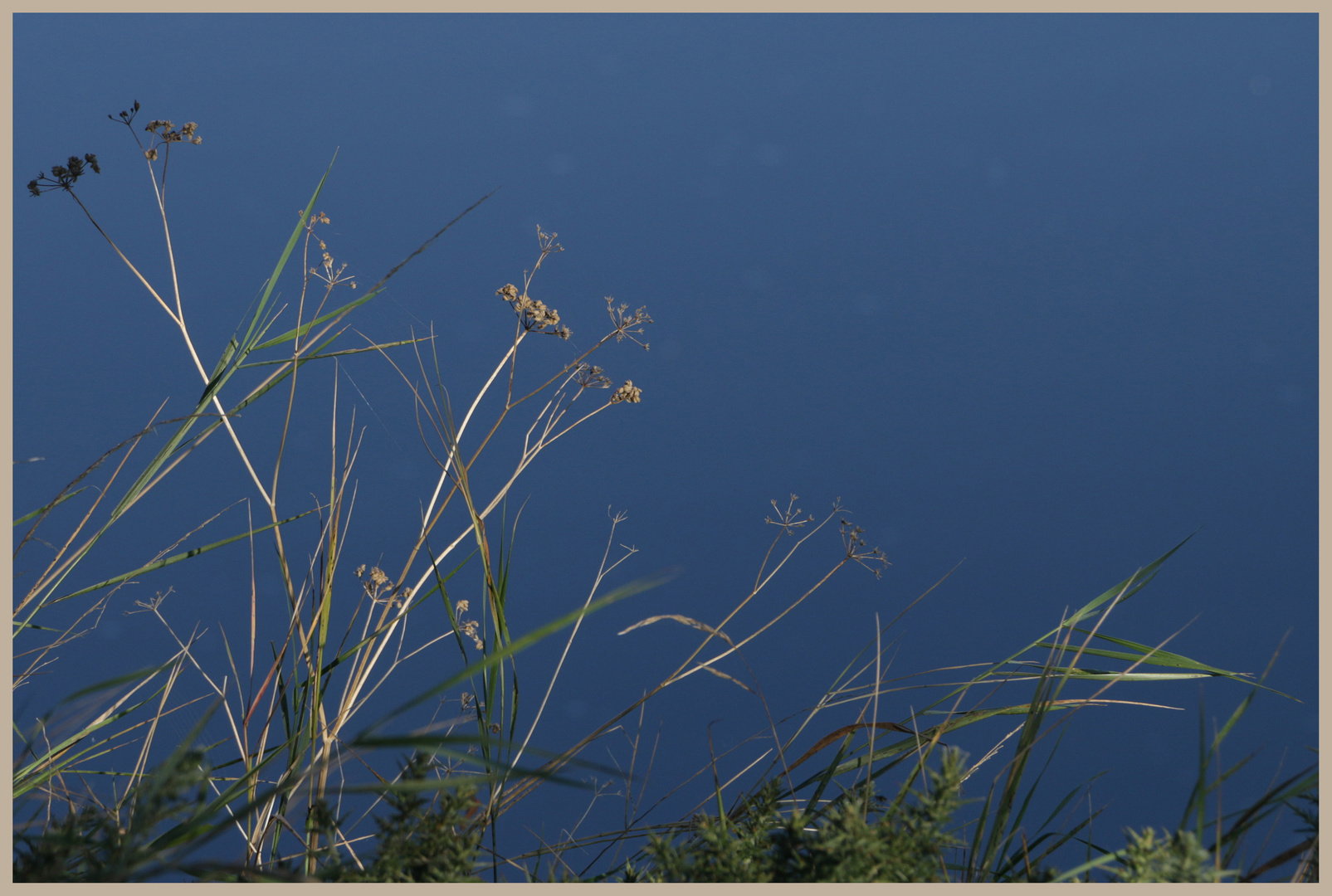 coquet estuary 5