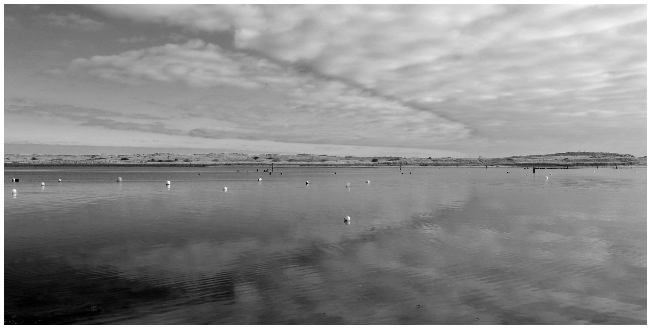 Coquet Estuary