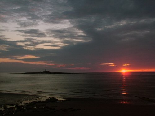 Coquet Island