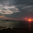 Coquet Island