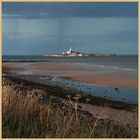 Coquet Island from the south 7