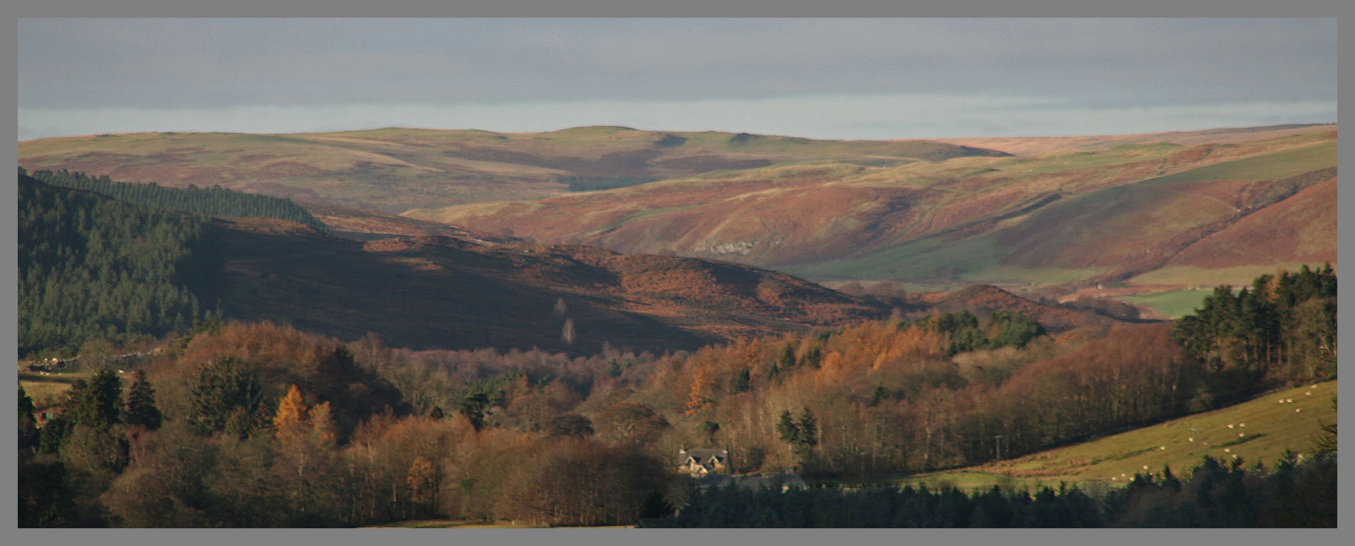 Coquet valley above Sharperton