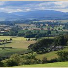 Coquetdale near Thropton 2