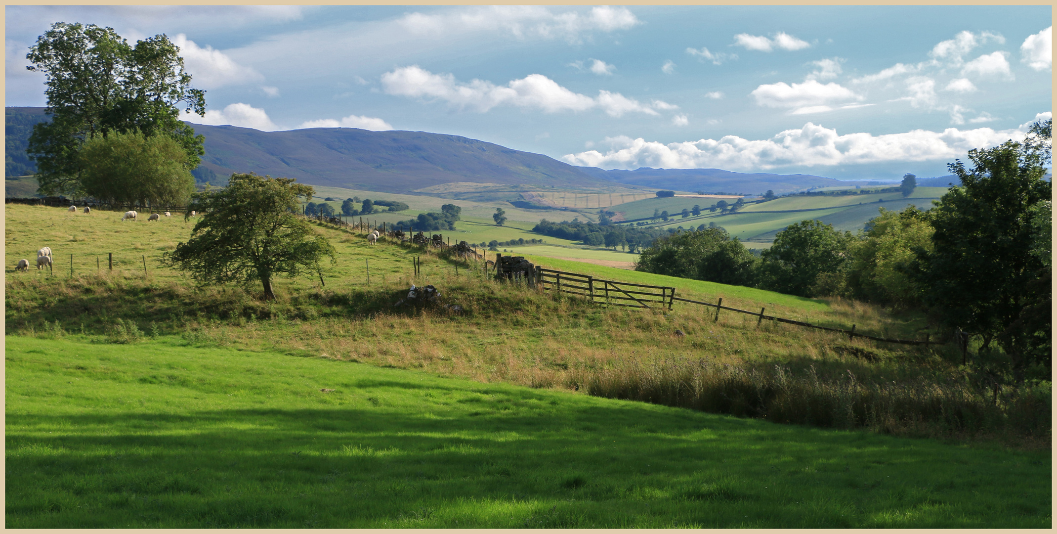 Coquetdale near Thropton 6