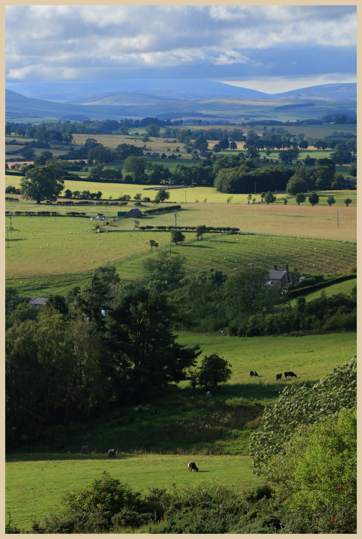 Coquetdale near Thropton 7