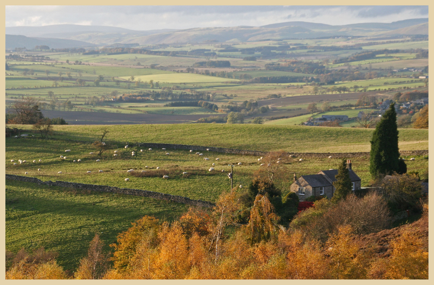 Coquetdale west of Rothbury