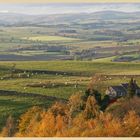 Coquetdale west of Rothbury