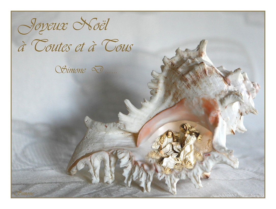 Coquillage de Noël