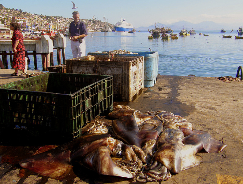 Coquimbo, Chile