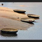 Coracles